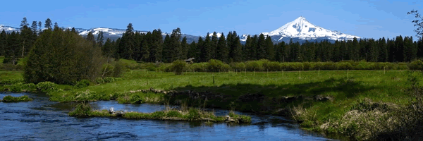 House on the Metolius