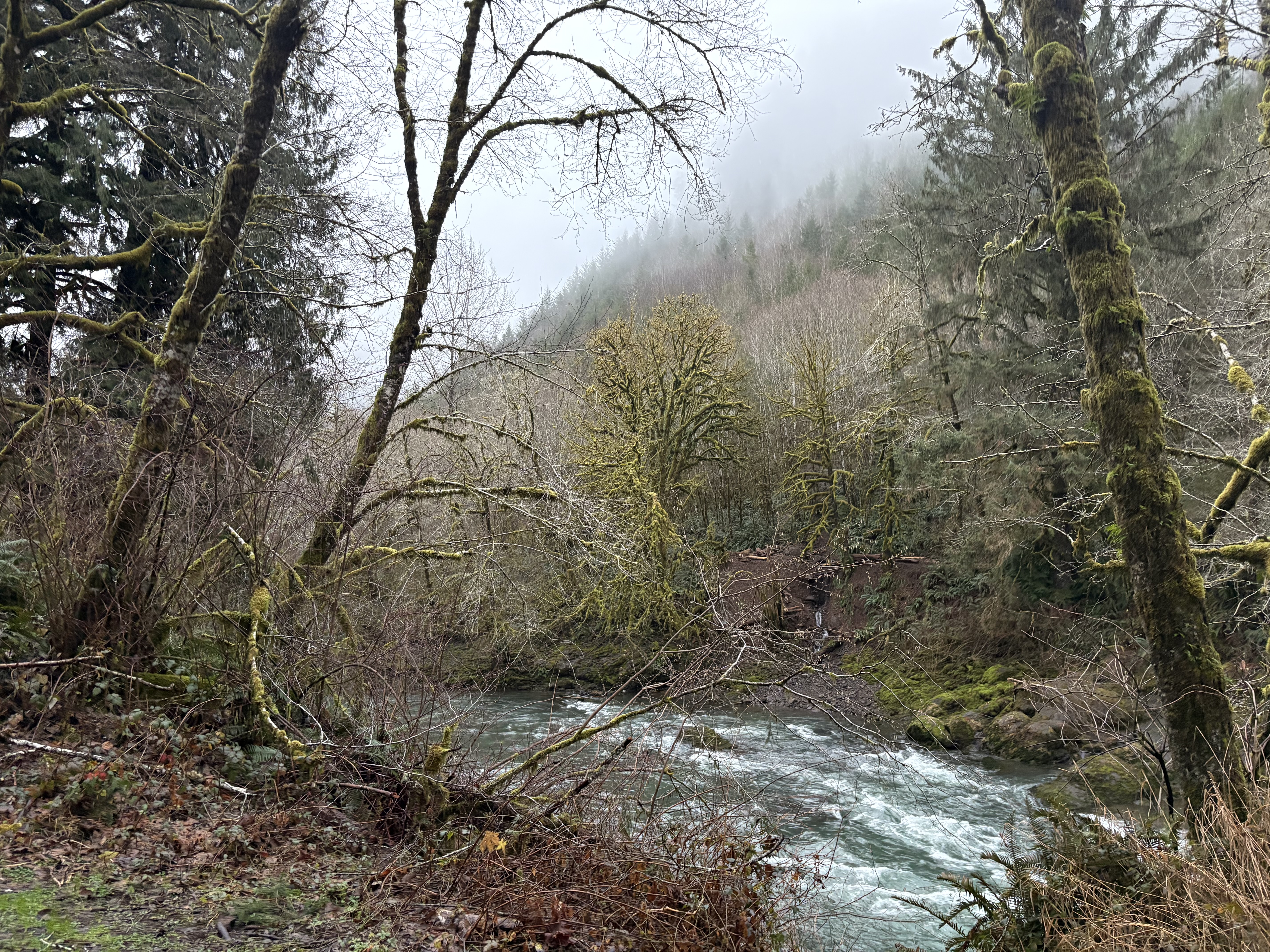 Columbia Gorge Fishing Report | 3-3-26 