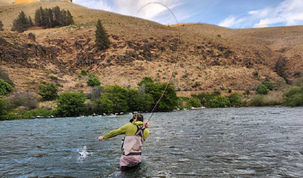 Article on the fly more fly fishing articles