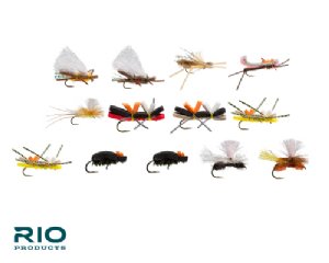 RIO Terrestrial Assortment