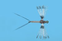 Organza Callibaetis Spinner