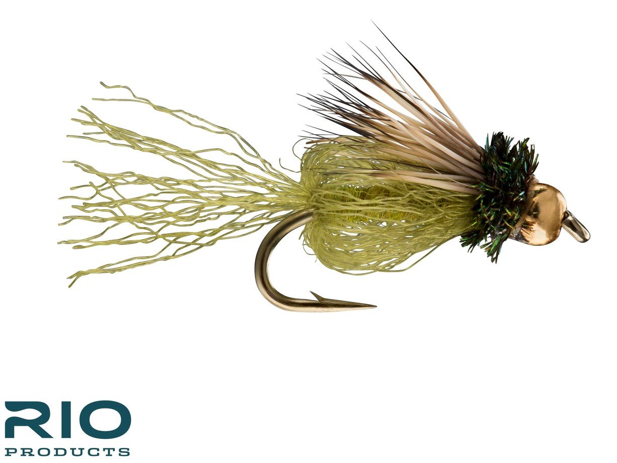 BH Caddis Sparkle Pupa - Olive