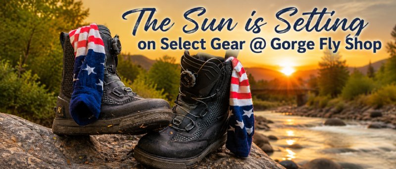 Sale and Discontinued