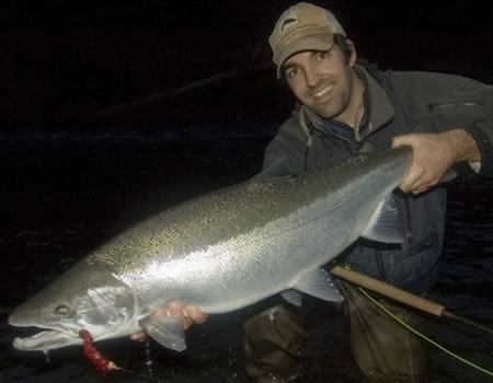 Coastal Steelhead