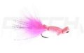 Coho Seizure