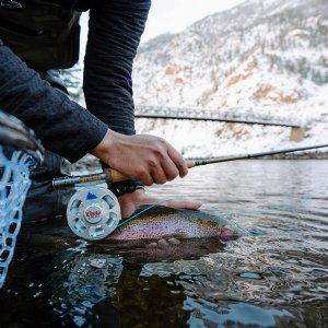 Ross Cimarron LT Fly Reel - Size 5/6 - Coors Light Edition