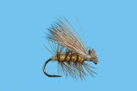 Elk Hair Caddis