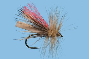 Hi Vis Foam Caddis - Tan