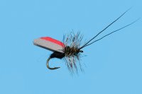 Solitude Foam Wing Caddis