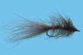 Hale Bopp Leech - Gray