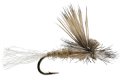 Dry Fly