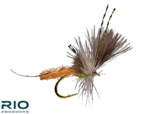 RIO Extendo - BWO