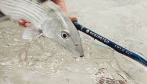 Redington Field Kit - Tropical Saltwater 