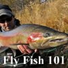 Fly Fishing 101