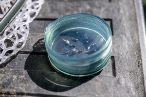 Fishpond Shallow MagPad Fly Puck