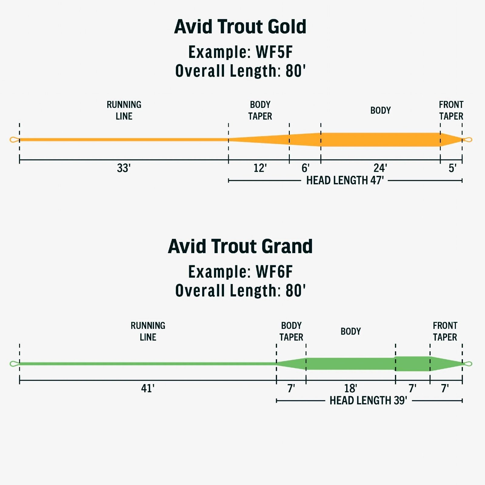 RIO Avid Trout Gold Fly Lines