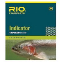 RIO Indicator Leaders