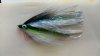 Big Eye Baitfish - ...