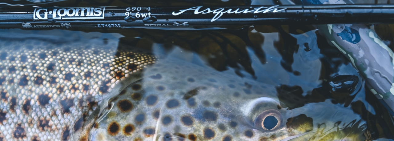 With Free Fly Line