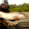 Jeff Hickman | Fish The Swing, LLC