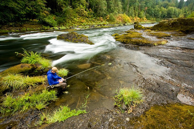 Umpqua Basecamp