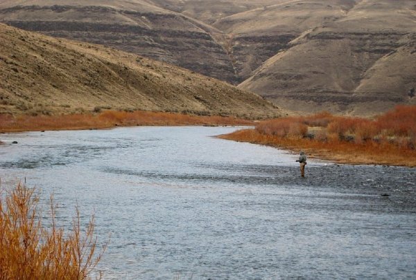 John Day Steelhead & Smallmouth