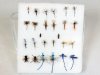 GFS Kit - Lake Flies - Dry Selection