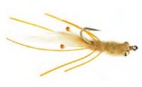 Mantis Shrimp - Tan