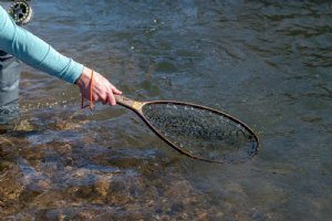 Fishpond Nomad Native Net - River Armor 2.0
