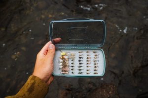 Fishpond Tacky Pescador Fly Box - Medium - Clear - Dynamic Foam