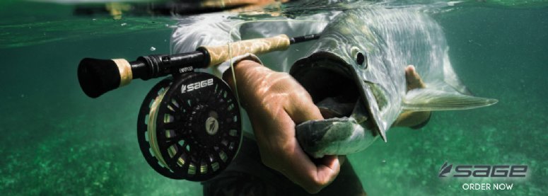 Sage Fly Reels