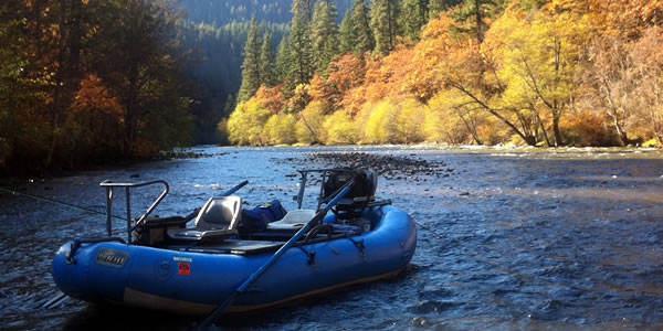 Pontoon Boats: A Buyers Guide