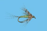Soft Hackle Thorax Bead - Olive