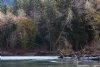 Klickitat River Steelhead