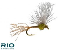 RIO Sparkle Flag BWO