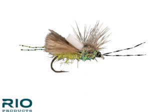 RIO Crime Scene Caddis - Olive