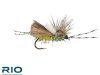 Crime Scene Caddis - Olive