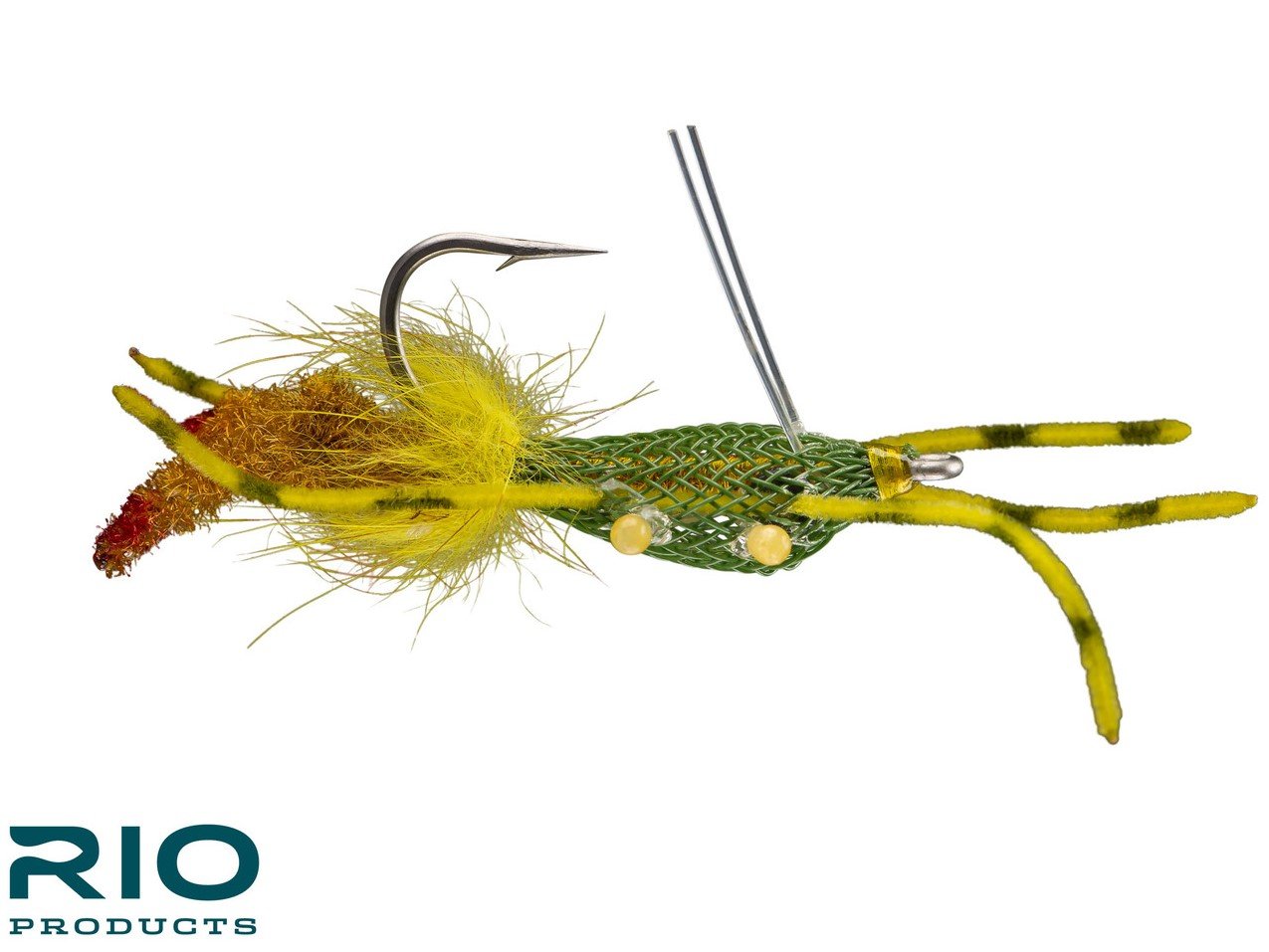 RIO's Fiddler on the Reef - Olive #1