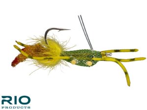 RIO's Fiddler on the Reef - Olive #1