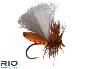 RIO's Foam Run Caddis - Orange