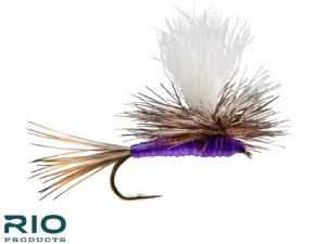 RIO Parachute Purple