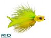 PTO Popper - Chartreuse / Yellow