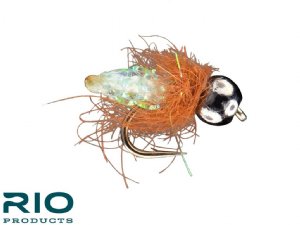 RIO's Pupa Scoopa - Caddis Green #14