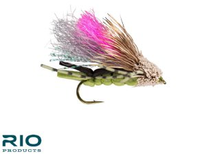 RIO Tantrum - Olive