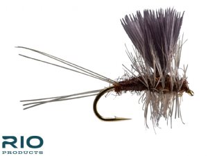 RIO Thorax - Mahogany