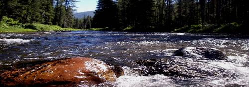 River Reports River Reports