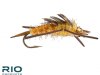 Rubber Legs Stonefly Nymph Bead - Gold