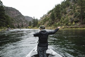 Sage Arrow Fly Rods 2026