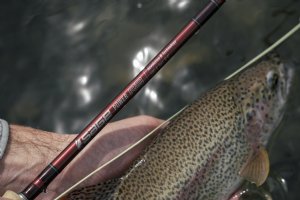 Sage Power R8 Fly Rods - Free Fly Line
