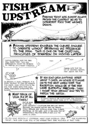 Curtis Creek Manifesto - Sample